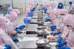 Рыбное хозяйство Вьетнама диверсифицирует экспортные рынки и продукцию. Фото: VASEP.