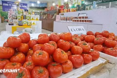 Продукция на 22-й Вьетнамской ярмарке ремесленных деревень 2026 года. Фото: Vietnam+.
