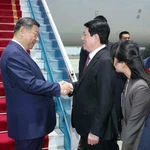 Президент государства Лыонг Кыонг (справа) приветствует Генерального секретаря ЦК Коммунистической партии Китая, Председателя КНР Си Цзиньпина в международном аэропорту Нойбай. (Фото: ВИА)