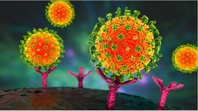 Во Вьетнаме не зафиксировано ни одного случая заболевания, вызванного вирусом Нипах. (Фото: suckhoedoisong.vn)