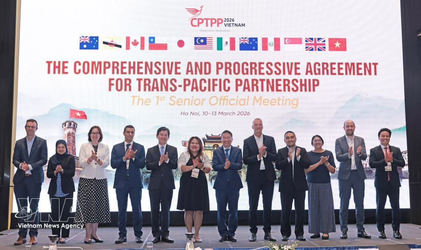 Руководители делегаций, участвующие во встрече, фотографируются на память. (Фото: ВИА).