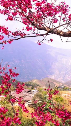 Весенние поездки в первые дни года: куда обязательно стоит съездить