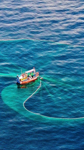 Усилия по снятию «жёлтой карточки» ЕС за ННН-промысел: На пути к ответственному развитию отрасли водного промысла