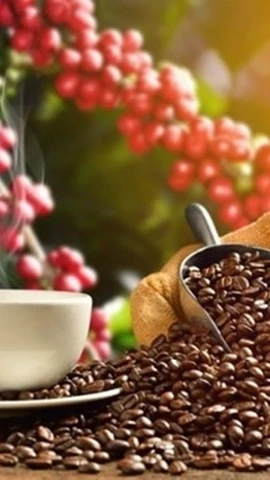 Вьетнамский кофе в эпоху ценности: От потенциала позиционирования к национальному пространству ценности