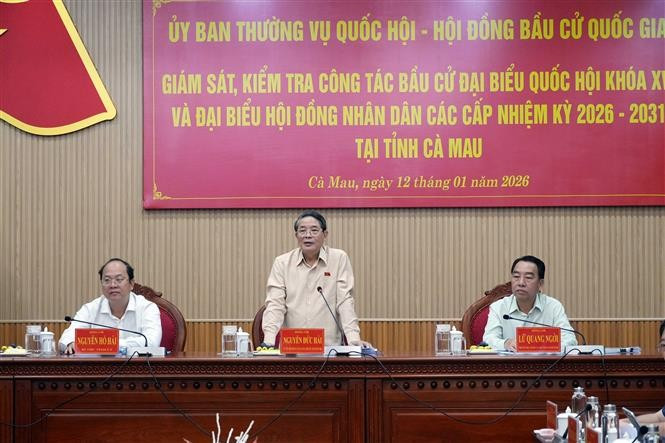 Вице-председатель НС Нгуен Дык Хай проверяет работу по подготовке выборов в провинции Камау (Фото: ВИА)