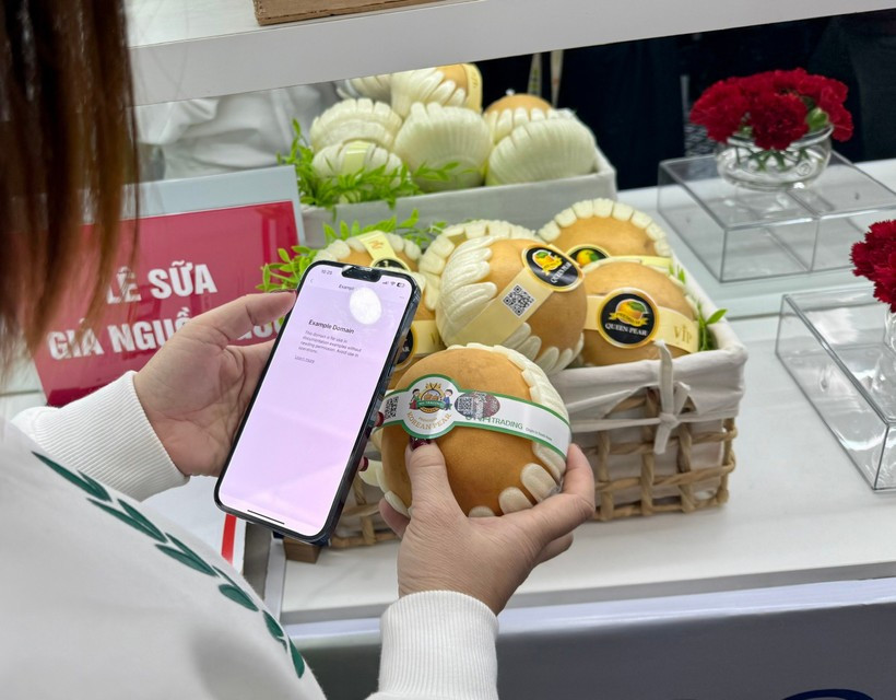 Потребитель проверяют происхождение и страну производства продукции (Фото: Вьетнам+)