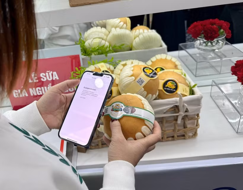 Потребитель проверяют происхождение и страну производства продукции (Фото: Вьетнам+)