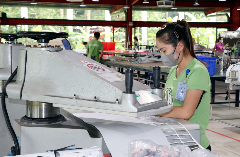 Рабочие на предприятии Maxport Limited Vietnam — филиал Намдинь (провинция Ниньбинь) (Фото: ВИА)