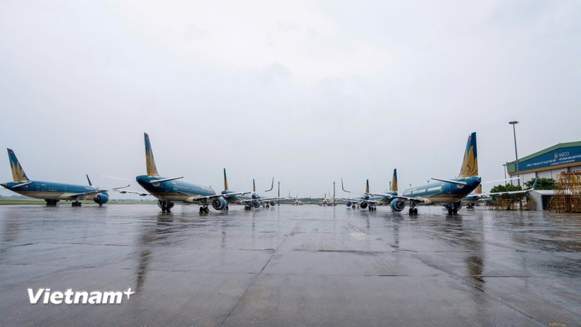 Самолёты авиакомпании Vietnam Airlines. (Фото: Вьетнам+)