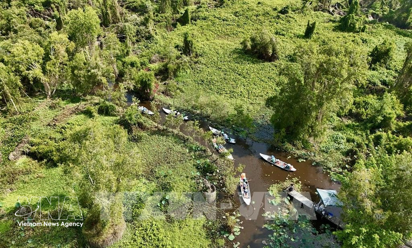 В 2026 году будет завершено формирование базы данных о лесах в целях адаптации к Регламенту ЕС о регулировании импорта и экспорта продукции, не связанной с обезлесением и деградацией лесов (Фото: ВИА)