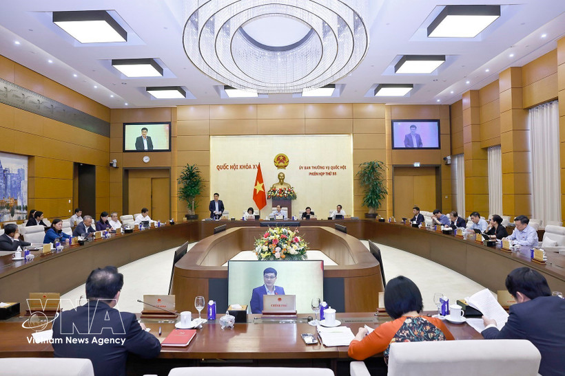 Панорама заседания (Фото: ВИА) 