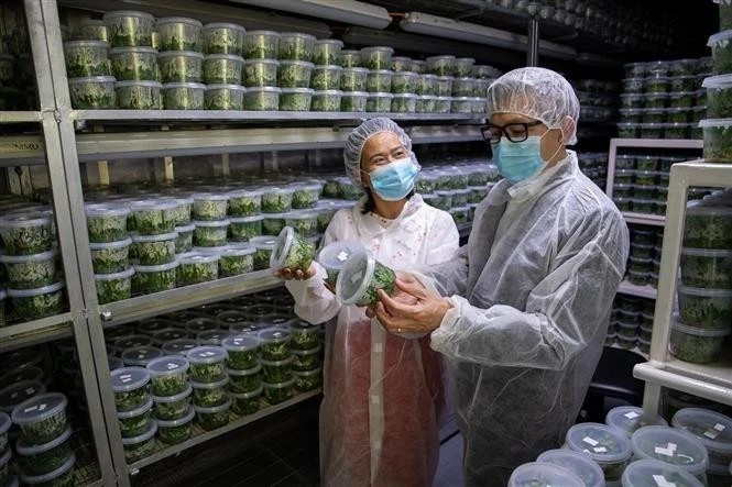 Участники мероприятий посещают лабораторию израильской сельскохозяйственной компании (Фото: ВИА)