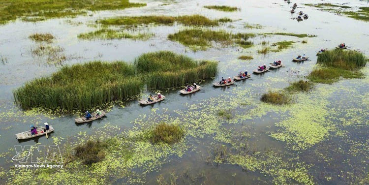 Экологический туристический комплекс лагуны Ванлонг в провинции Ниньбинь известен своей первозданной красотой, спокойной атмосферой и богатой экосистемой (Фото: ВИА) 