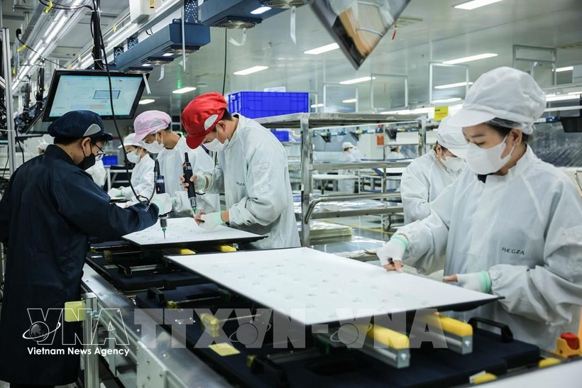 Производственная деятельность компании с ограниченной ответственностью Regza Vietnam Electronics, расположенной на территории провинции Донгнай (Фото: ВИА)