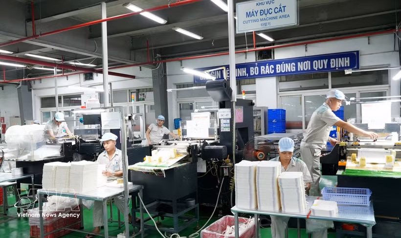 Производственная линия по выпуску упаковочной продукции в Акционерной компании по производству и импорту-экспорту упаковки «Тханг Лонг» отвечает требованиям многих отечественных и зарубежных заказчиков (Фото: ВИА)