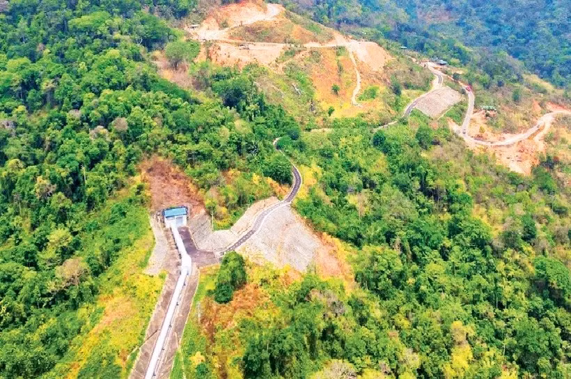 Развитие лесного хозяйства в общине Фаншон провинции Ламдонг (Фото: nhandan.vn)