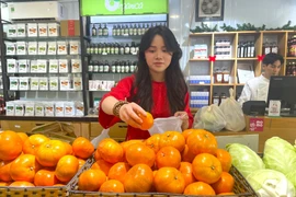 Потребители всё чаще отдают предпочтение органической сельскохозяйственной продукции для подарочных корзин к Тэту 2026 года. Фото: ВИА.