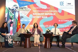 Вьетнам и МФСР совместно формируют стратегию устойчивого сельского развития