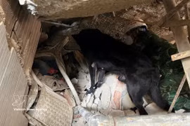 Вьетнамские спасатели продолжают поиски пострадавших. Фото: Хоанг Ву/ВИА.