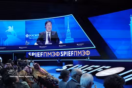Постоянный заместитель Премьер-министра Фам Зя Тук выступает на церемонии открытия 29-го Петербургского международного экономического форума (ПМЭФ). Фото: ВИА.