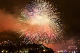 Новая Зеландия встречает 2026 год фейерверками и праздничными мероприятиями. (Источник: Mint)