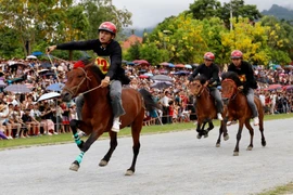 Жокеи состязаются на ипподроме. Фото: ВИА.