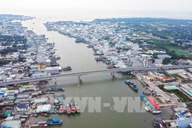 Морской устьевой порт Шонгдок — один из крупнейших морских выходов региона дельты реки Меконг. Фото: ВИА.