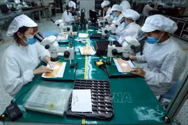 Производство электронных комплектующих на предприятии ООО «4P» (провинция Хынгйен) — проект с крупными инвестициями, передовыми технологиями и высоким потенциалом участия в региональных и глобальных цепочках поставок. Фото: ВИА.