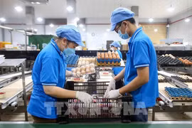 Индекс потребительских цен за 10 месяцев 2025 года увеличился на 3,27%. Фото: ВИА.