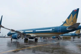 Самолёт авиакомпании Vietnam Airlines в аэропорту Нойбай. (Фото: Vietnam+)