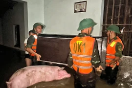 Офицеры и военнослужащие 2-го полка 3-й дивизии, дислоцированной в этом районе, вместе с жителями оказывают помощь населению. Фото: ВИА.