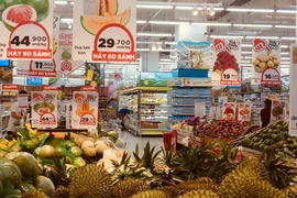 Иллюстративное фото. (Источник: Vietnam+)