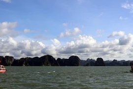 Лодки, принадлежащие Управлению пожарной охраны и спасательно-спасательных работ (Полиция провинции Куангнинь), участвуют в поисковых работах в акватории залива Халонг. Фото: ВИА.