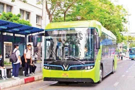 Электрические автобусы, инвестированные и эксплуатируемые компанией VinBus, отличаются дружелюбностью к пассажирам и формируют цивилизованный, современный облик транспортной системы. Фото: nhandan.vn.