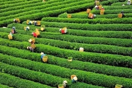 Иллюстративное фото. Фото: ВИА.