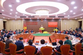 Премьер-министр Фам Минь Тьинь проводит рабочее совещание с руководителями провинции Куангнгай 9 февраля. (Фото: ВИA)