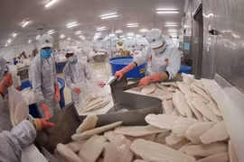 Рынок Ближнего Востока проявляет высокий спрос на вьетнамский пангасиус, экспортируемый с соблюдением стандартов халяль. Источник: ВИА.