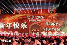 Город Пекин с радостью встречает Новый год. Фото: ВИА.