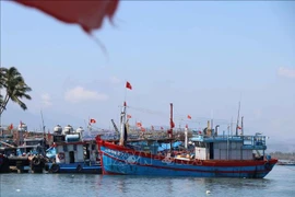 Министерство сельского хозяйства и окружающей среды направило документ о вводе в эксплуатацию системы контроля рыболовных судов и рыбаков, участвующих в деятельности, через приложение VNeID. Иллюстративное фото: ВИА.