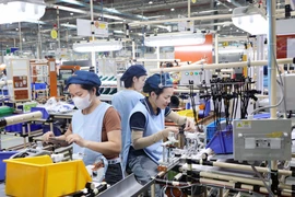 Проекты с прямыми иностранными инвестициями (ПИИ ) функционируют стабильно и демонстрируют высокие темпы освоения капитала, что отражает доверие инвесторов к деловой среде во Вьетнаме. Фото: ВИА.