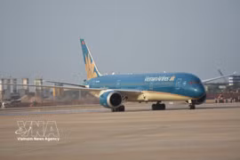 Самолёт Vietnam Airlines. Фото: ВИА.