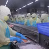 Линия предварительной переработки экспортной рыбной продукции на предприятии в провинции Камау. Фото: ВИА.