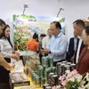 Делегаты осматривают выставочные стенды в рамках Недели. Фото: ВИА.