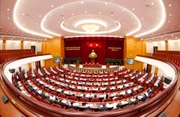 Обновление в законотворчестве и правоприменении