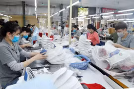 Рабочие производят обувь на экспорт в страны ЕС на обувной фабрике Truong Xuan в Ханое. (Фото: ВИА) 