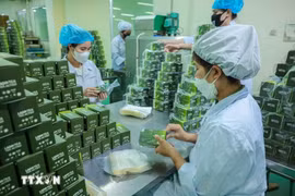 Производство продуктов на основе трав на фармацевтическом предприятии Lam Dong Pharmaceutical JSC. (Фото: ВИA)