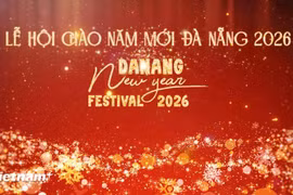 Дананг готовится принять фестиваль Da Nang New Year Festival 2026. (Фото: VietnamPlus)