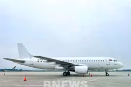 Bamboo Airways лидирует по своевременному выполнению рейсов во время Тэт (Фото: ВИА)