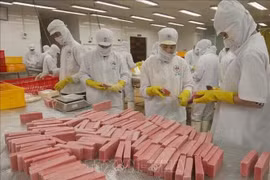 Производство на предприятии Hong Ngoc по переработке морепродуктов в провинции Даклак. (Фото: ВИА) 