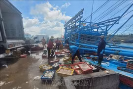 Морепродукты с рыболовного судна выгружаются в рыболовном порту Биньчау в Хошимине. **(Фото: ВИА)** 